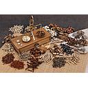Traditional Chinese Medicine Initial Visiting