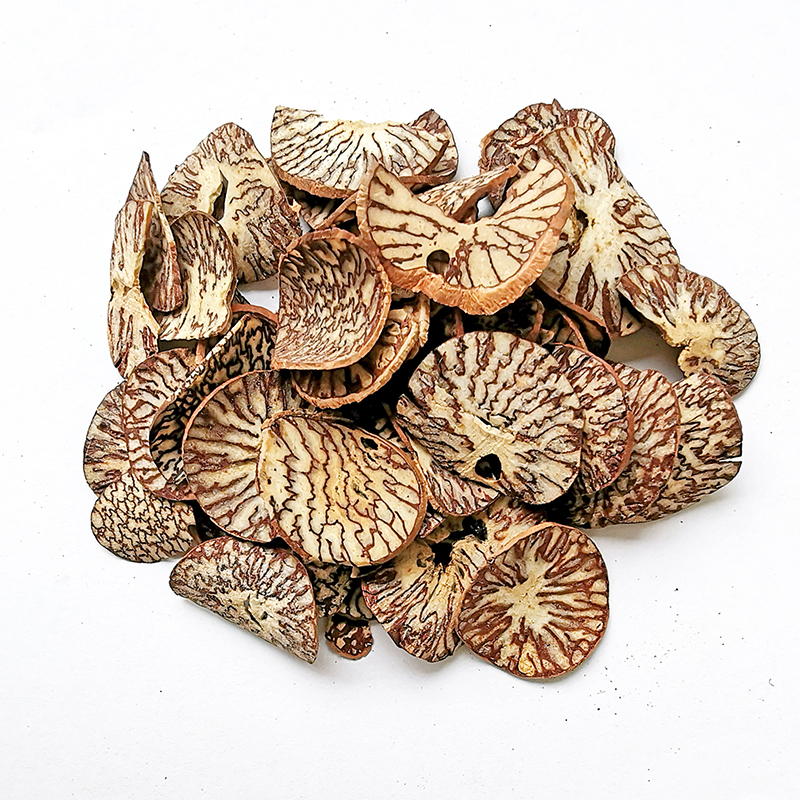 Areca Seeds （BingLang）