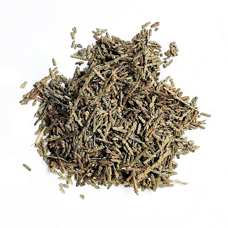 Chinese Arborvitae Twig	 （CeBaiYe）