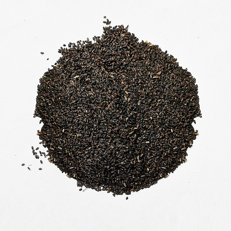 Plantago Seeds （CheQianZi）