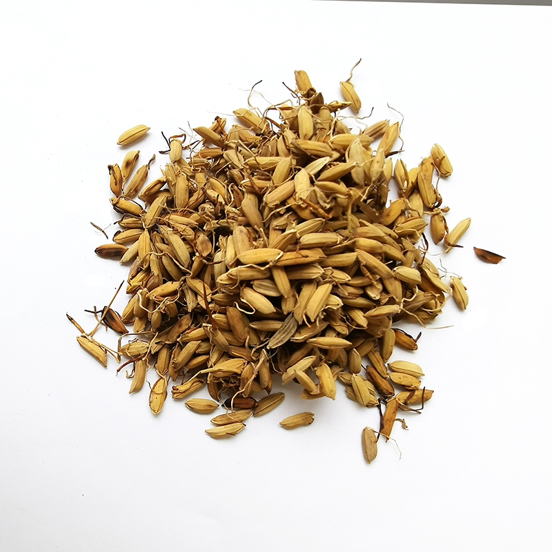 Cooked Rice Sprouts （GuYa(Chao)）