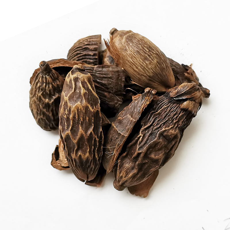Areca Peel （DaFuPi）