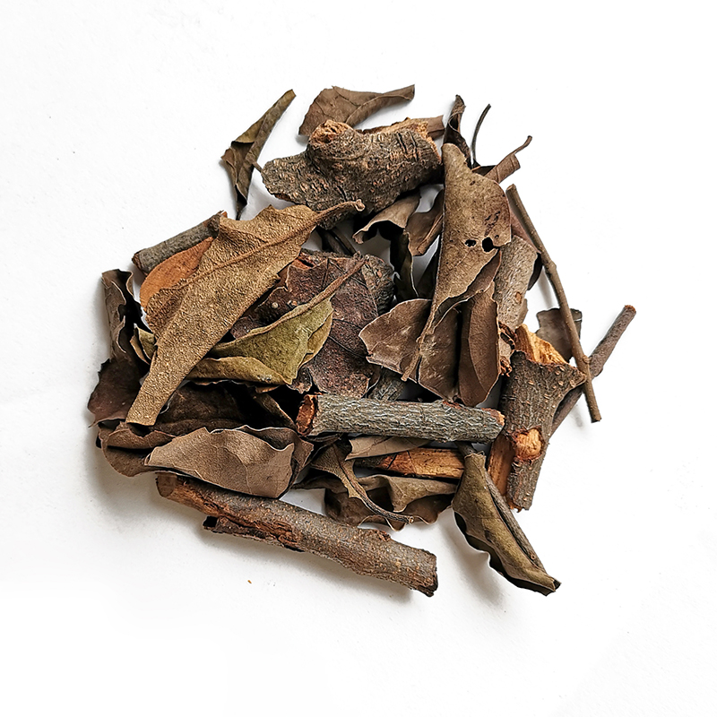Mulberry Mistletoe Stems （SangJiSheng）