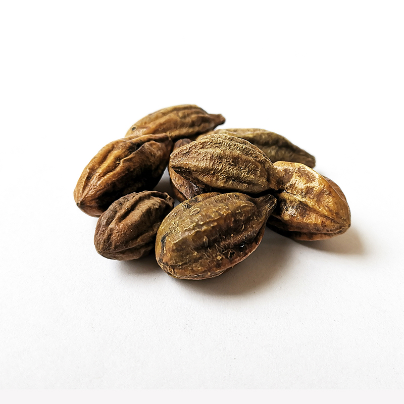 Myrobalan Fruit （HeZi）
