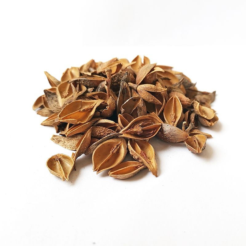 Forsythia Fruit (LianQiao)
