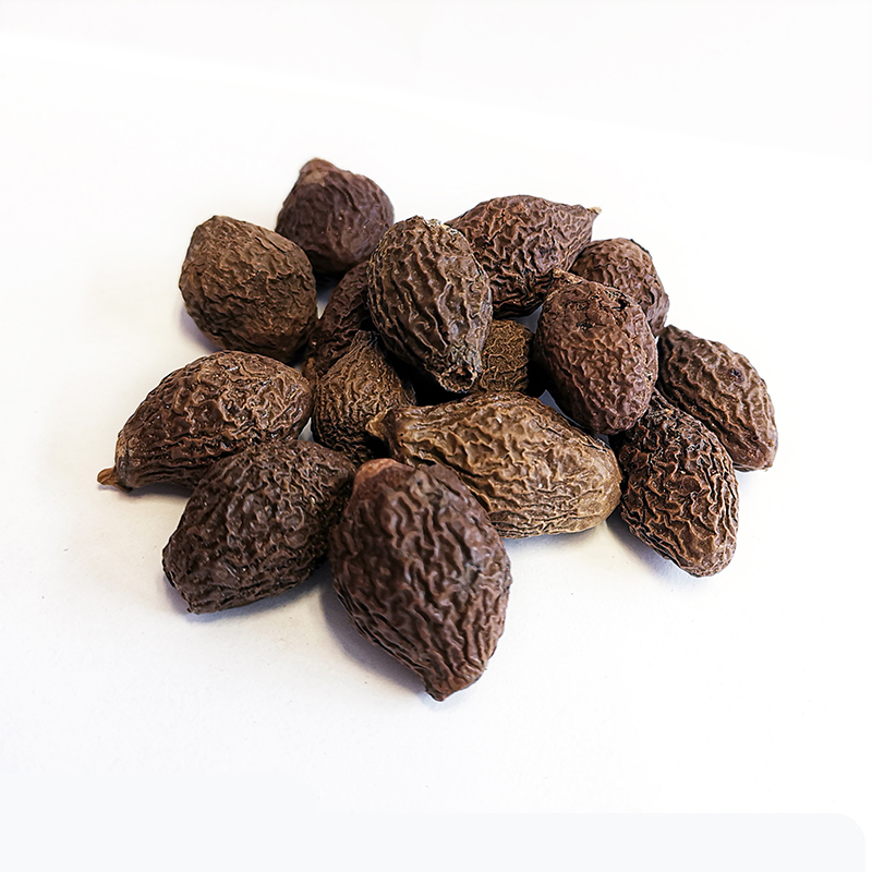 Sterculia Seed （PangDaHai）