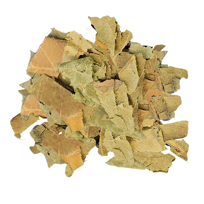 Loquat Leaf  （PiPaYe）