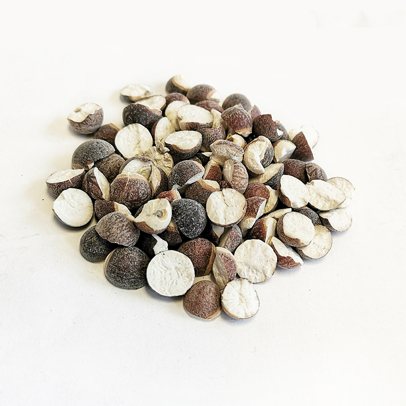 Euryale Seeds （QianShi）
