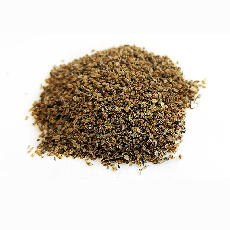 Cnidium Seed （SheChuangZi）
