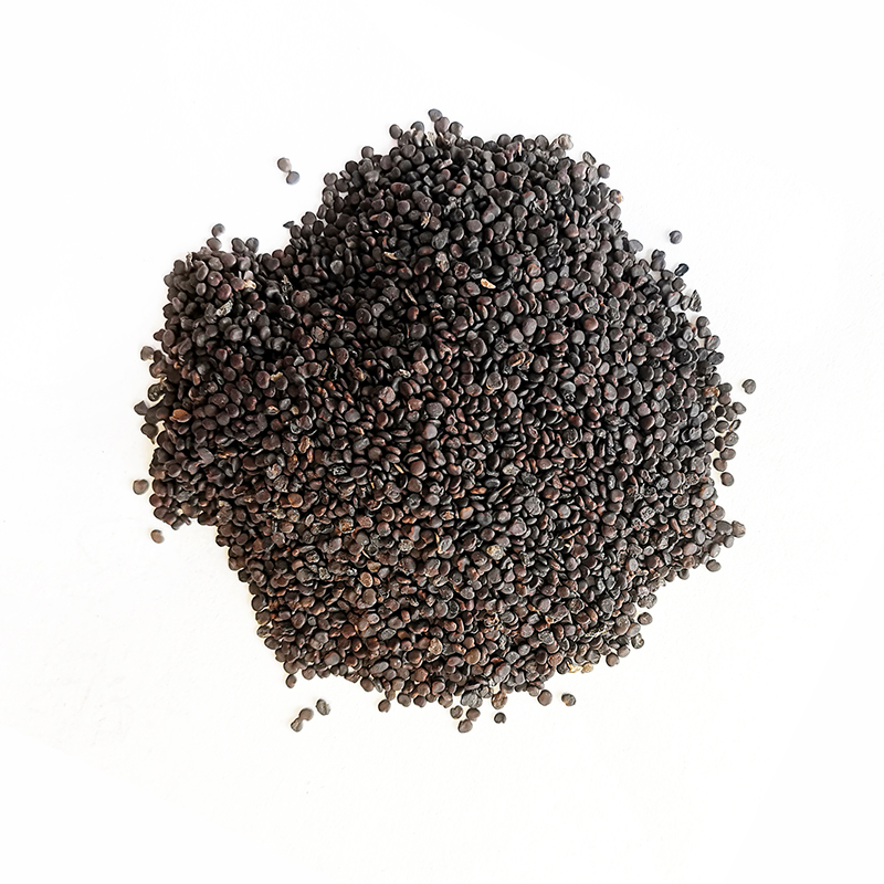 Astragalus Seed (ShaYuanZi)