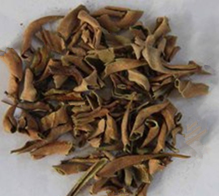 Pyrrosia Leaf （ShiWei）