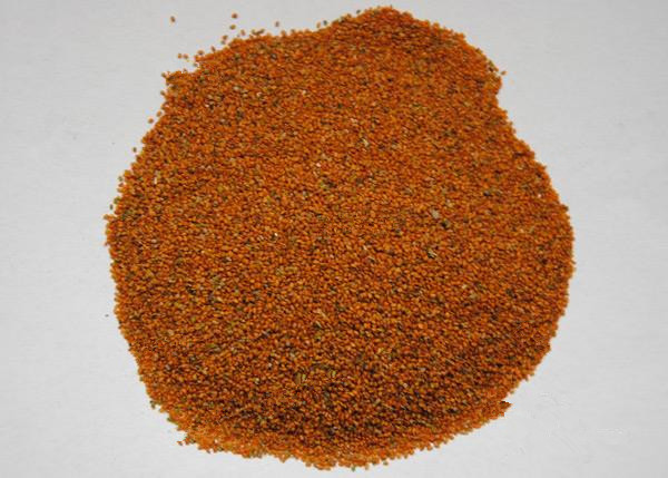 Lepidium Seed （TingLiZi）