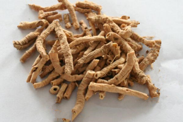 Polygala Root (YuanZhi)